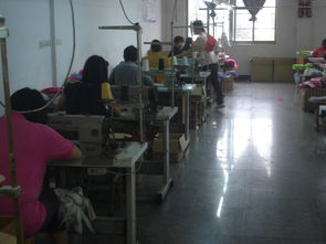 金華市婺城區麗華日用品廠 專注品質，服務生活的個體經營典范